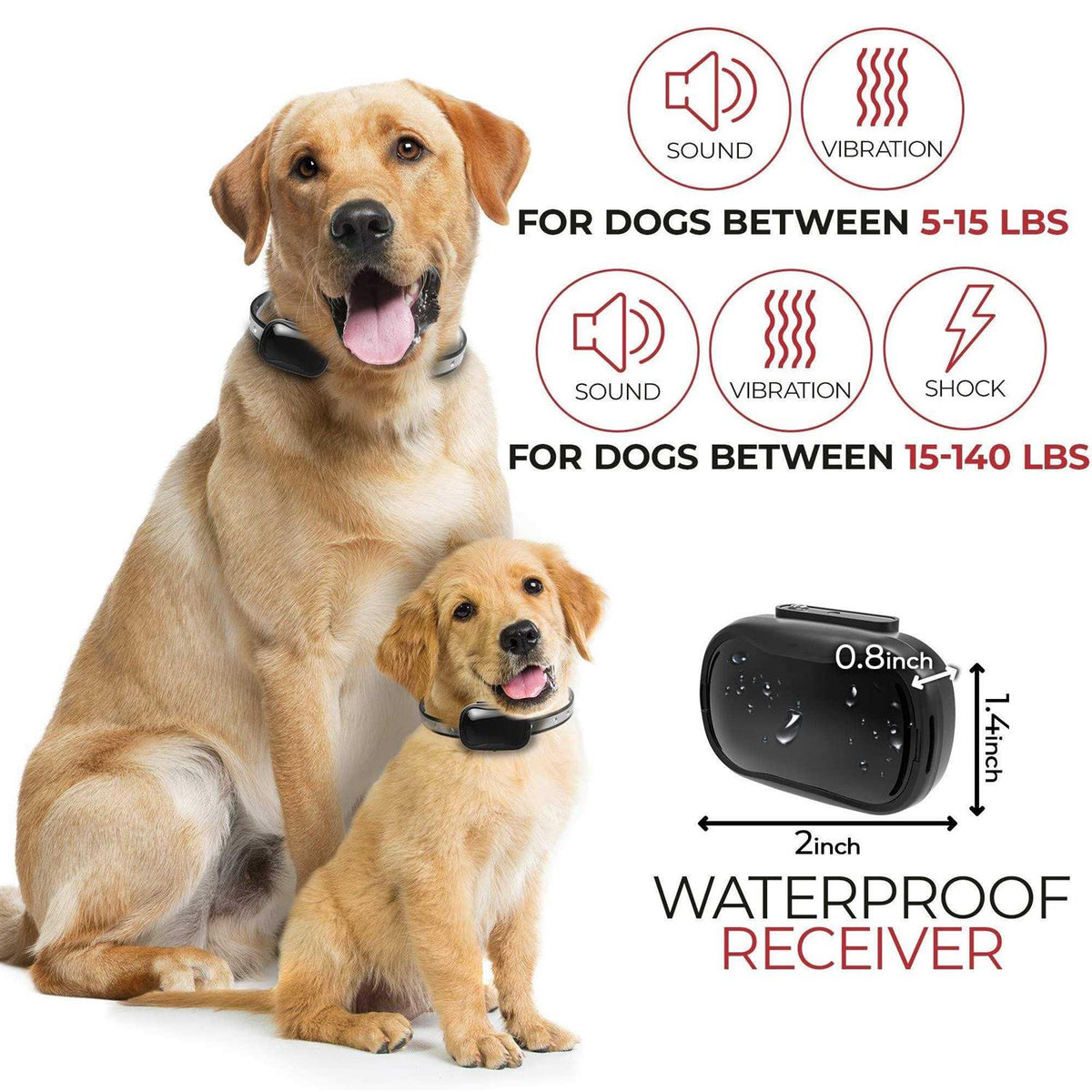 Extra Small Dog Training Collar with Remote R310