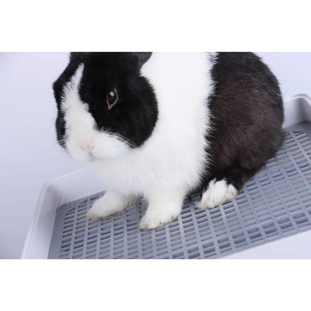 Rabbit Litter Box with Grate Q191