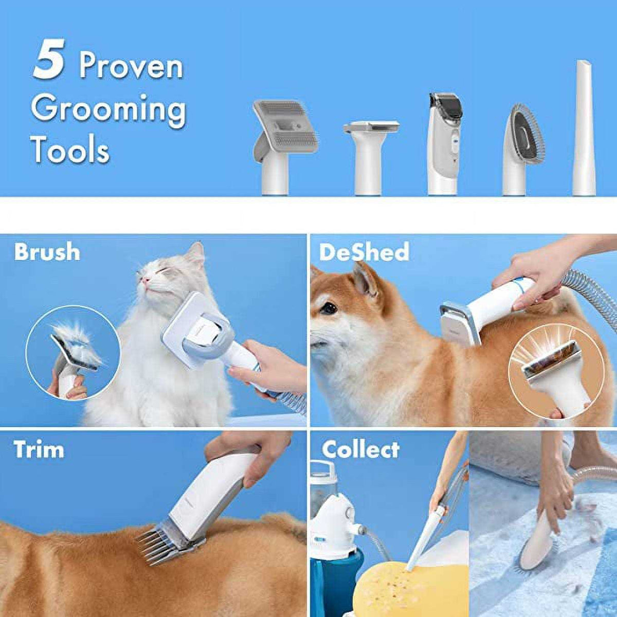 Dog Grooming Kit B1873